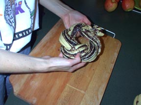 The completed ring