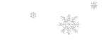 Snowflakes